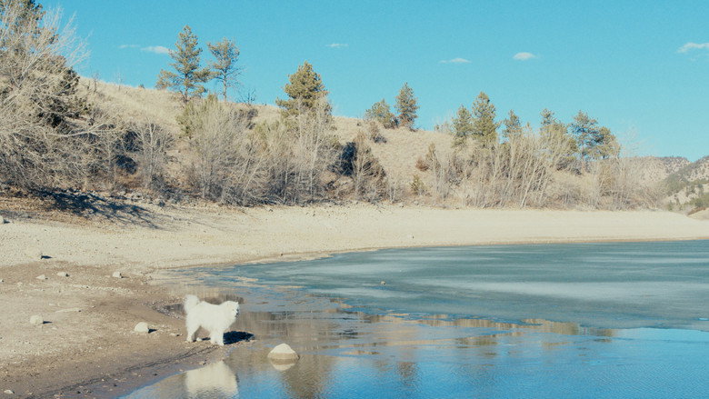 кадр из фильма 50 Hours to Wyoming