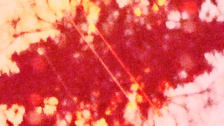 кадр из фильма Poraí