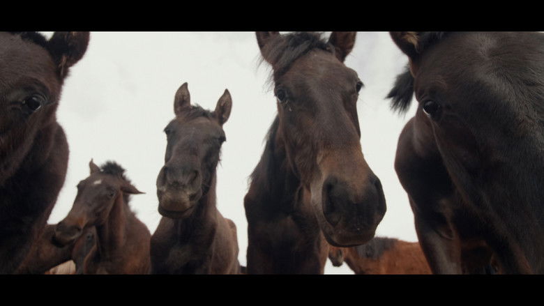 кадр из фильма Wings of Kyrgyzstan