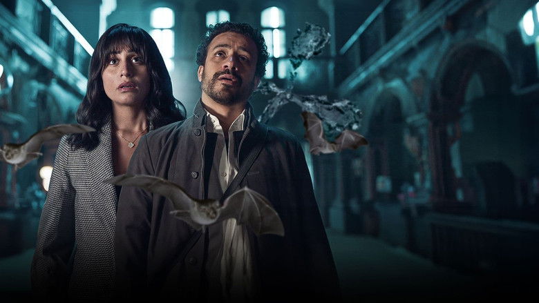 кадр из фильма يوم 13