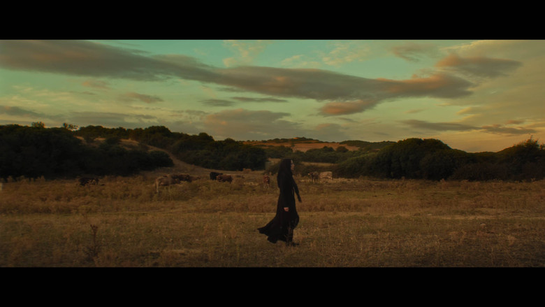 кадр из фильма Attitu