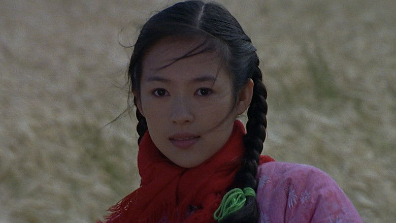 кадр из фильма Дорога домой