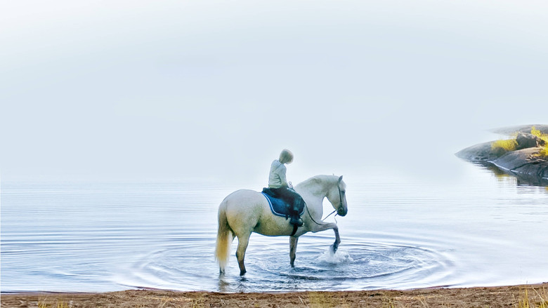 кадр из фильма Innan vintern kommer