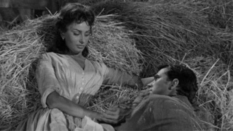 кадр из фильма Любовь под вязами