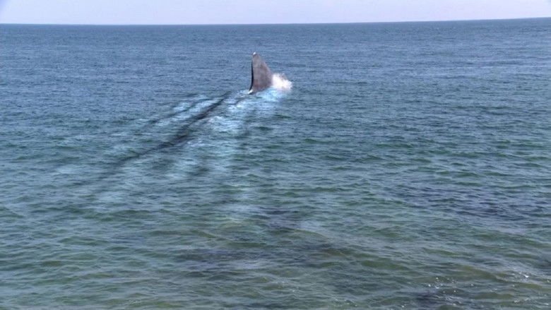 кадр из фильма Super Shark