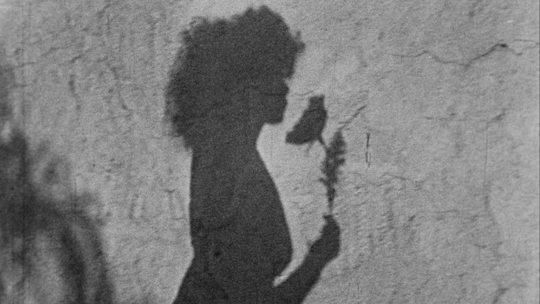 кадр из фильма Послеполуденные сети