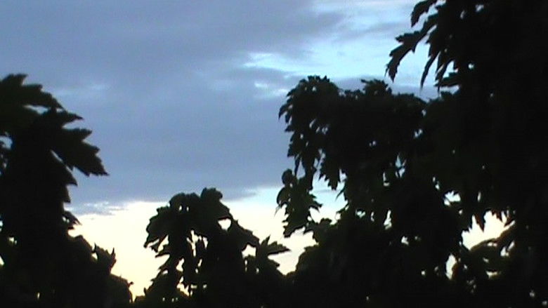 кадр из фильма fors fortuna