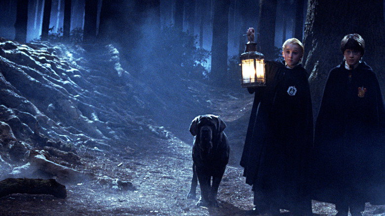 кадр из фильма Harry Potter und ein Stein