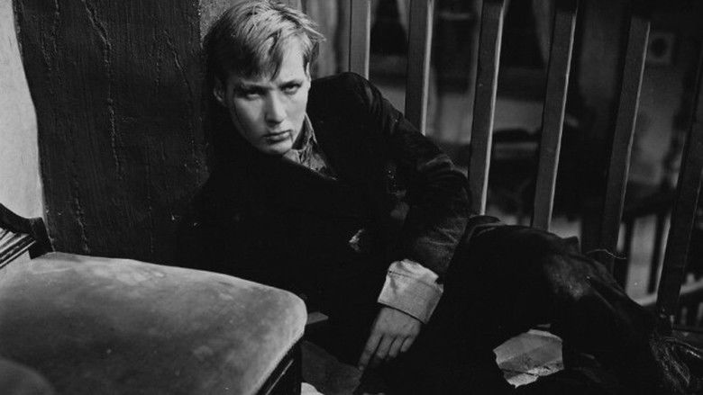 кадр из фильма A House Divided