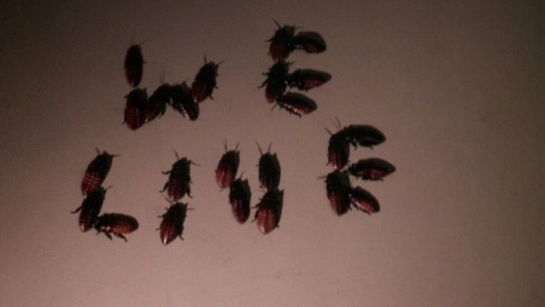 кадр из фильма Bug