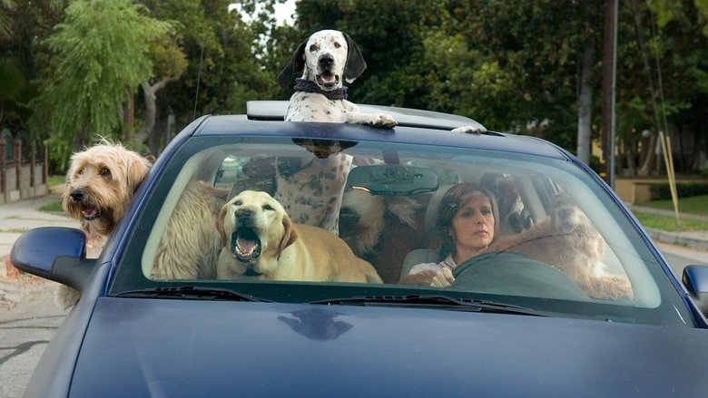 кадр из фильма Год собаки