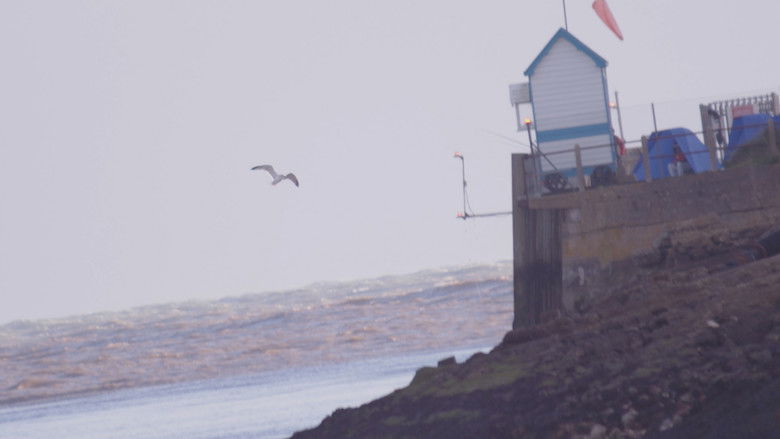 кадр из фильма Alternate Spaces