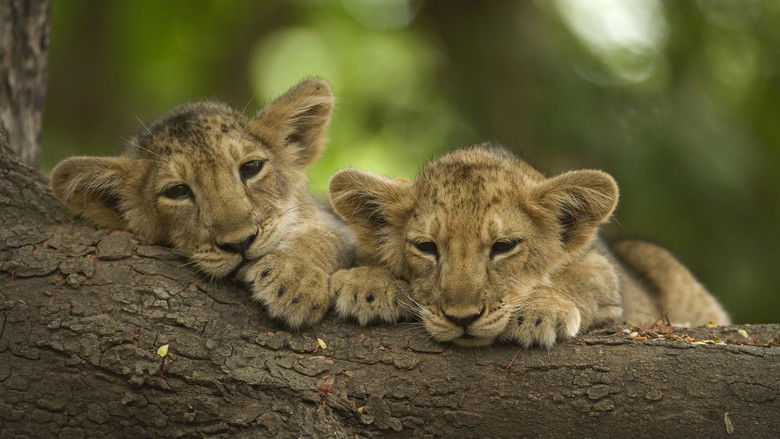 кадр из фильма War of the Lions