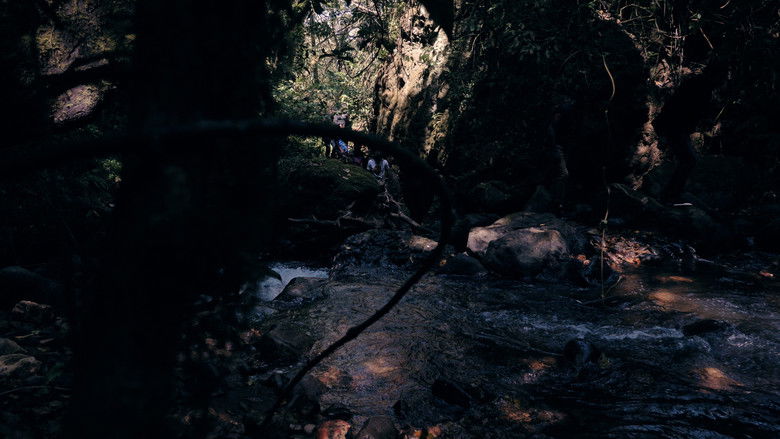 кадр из фильма Wrong Journey