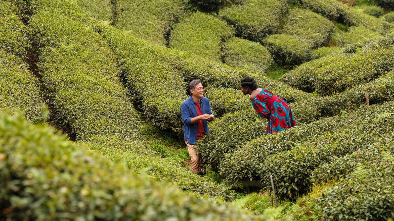 кадр из фильма Чёрный чай