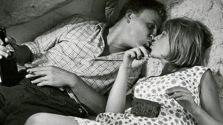 кадр из фильма Полуденный паром