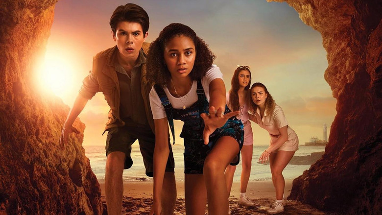 кадр из фильма The Curious Case of Dolphin Bay