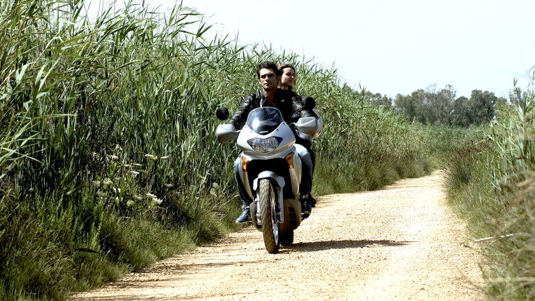 кадр из фильма Пристегните ремни