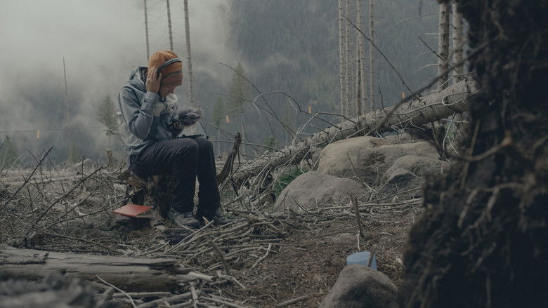 кадр из фильма Il codice del bosco