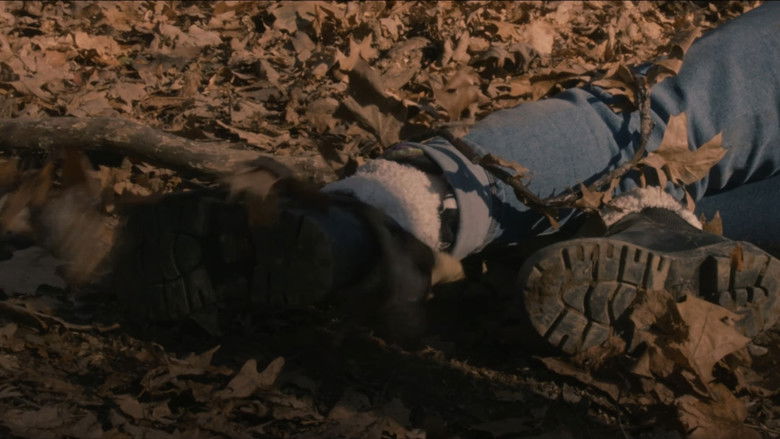 кадр из фильма Matriarch