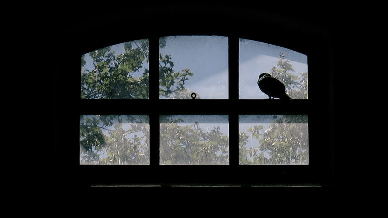 кадр из фильма Les finestres