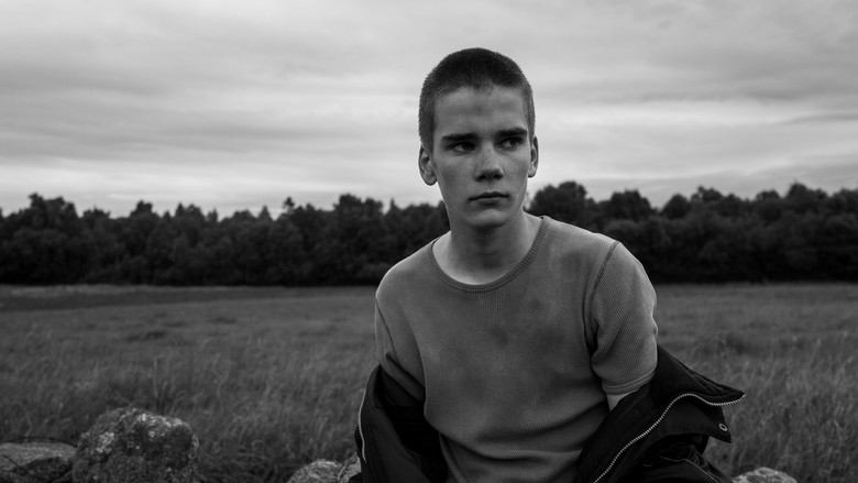 кадр из фильма Korparna