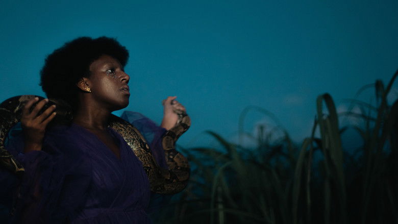 кадр из фильма Sugar Island