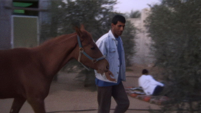 кадр из фильма Mit Hasan in Gaza