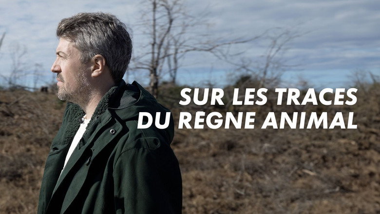 кадр из фильма Sur les traces du règne animal