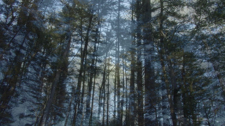 кадр из фильма Pathways