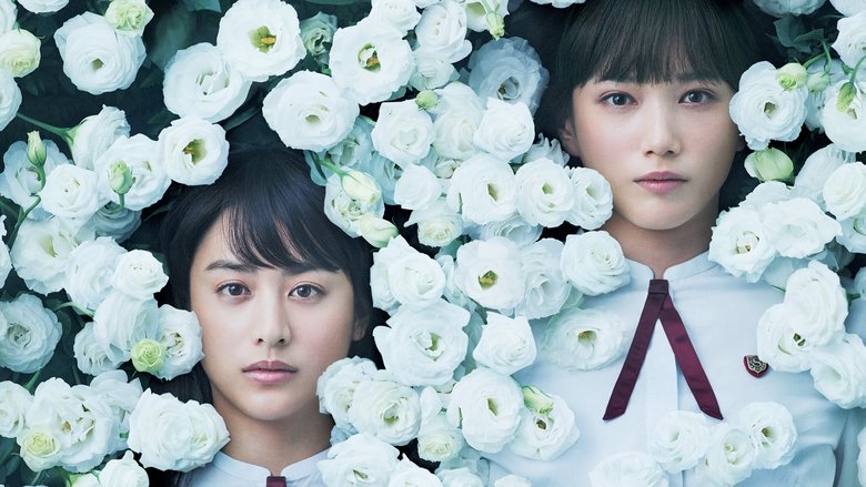 кадр из фильма 少女