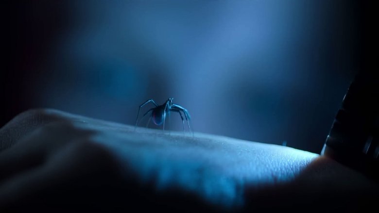 кадр из фильма Черная вдова. Укус смерти