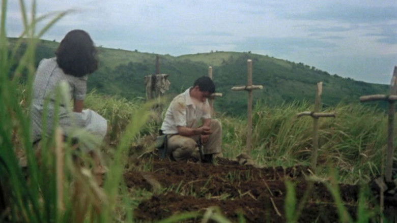 кадр из фильма Oro, Plata, Mata