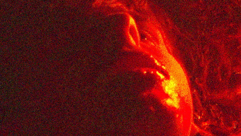 кадр из фильма The Mimic