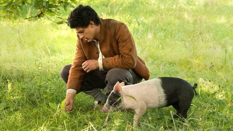 кадр из фильма Der Schweinehirt