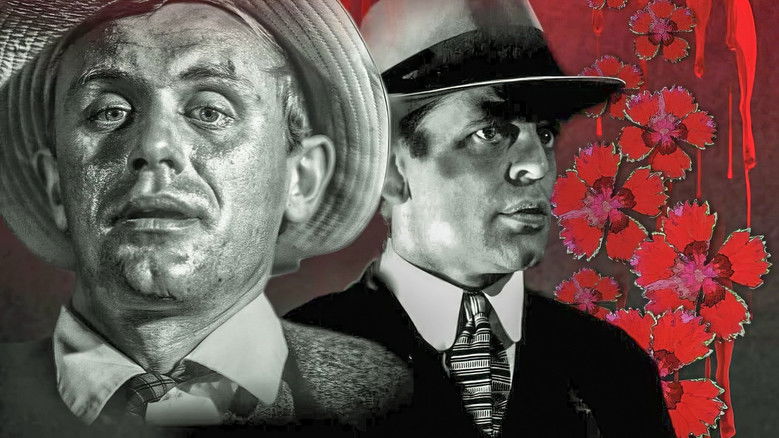 кадр из фильма Тайна китайской гвоздики