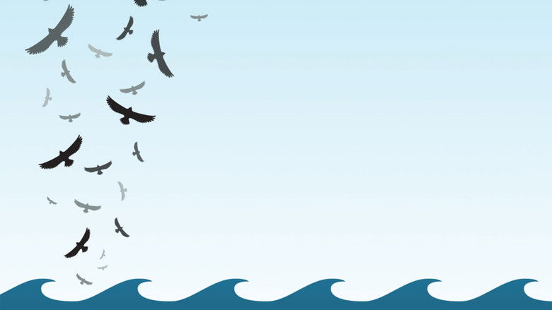 кадр из фильма In the Wake of the Flood