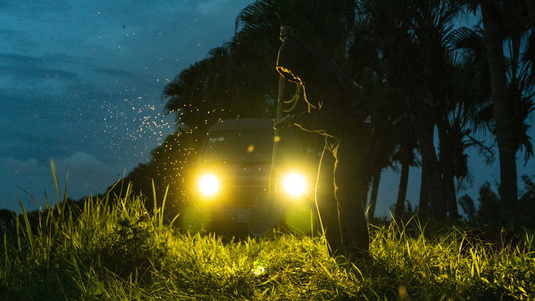 кадр из фильма Тебе одиноко сегодня вечером?