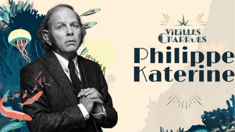 кадр из фильма Philippe Katerine au festival des Vieilles Charrues