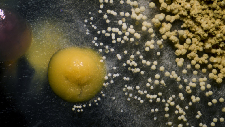 кадр из фильма Tipping Point