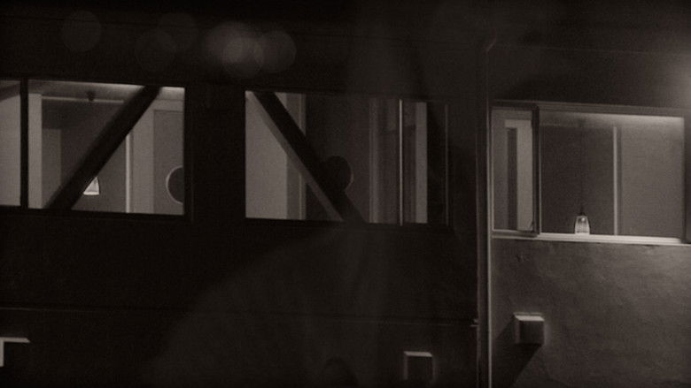 кадр из фильма A Short Film About Love