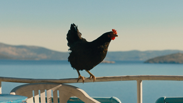 кадр из фильма Κότα