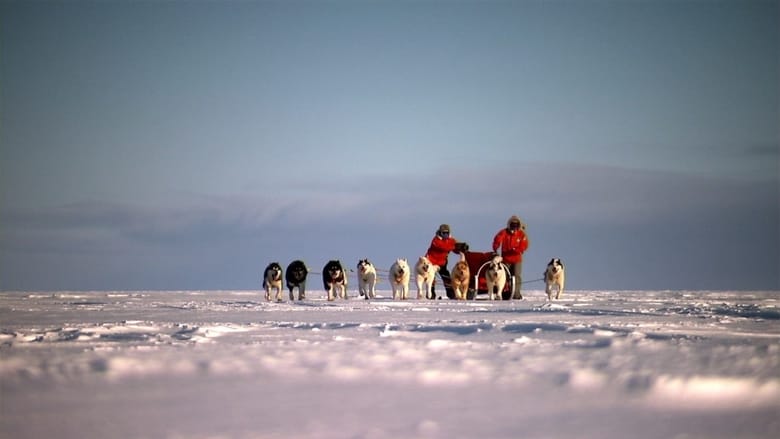 кадр из фильма Top Gear: Polar Special