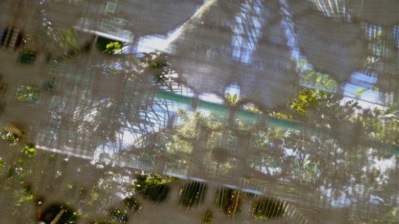 кадр из фильма Spring