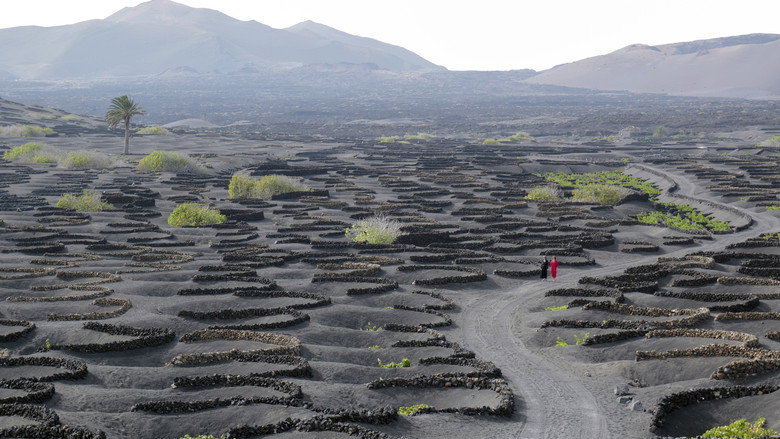 кадр из фильма Горькое Рождество