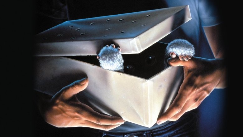 кадр из фильма Гремлины