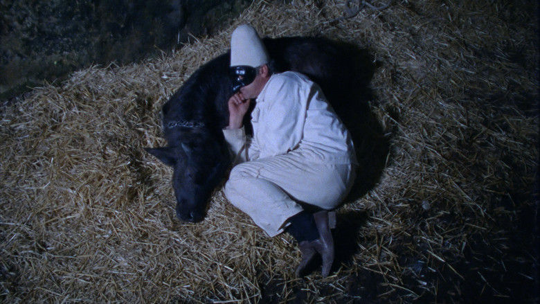 кадр из фильма Bella e perduta