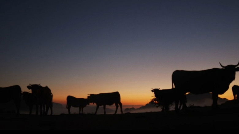 кадр из фильма Salvajes, El Cuento Del Lobo