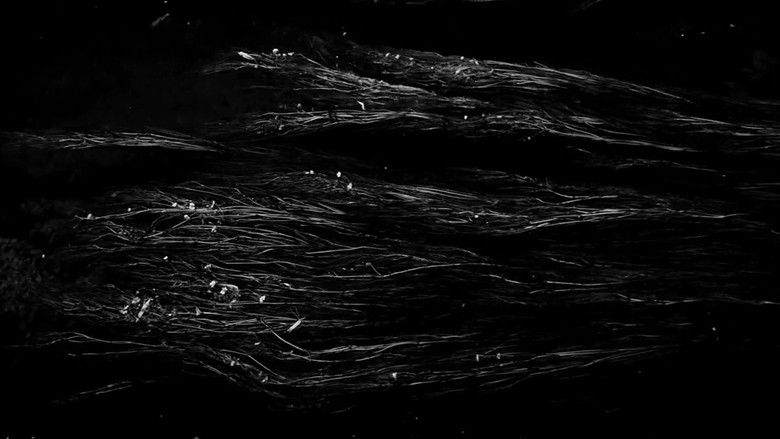 кадр из фильма Irae