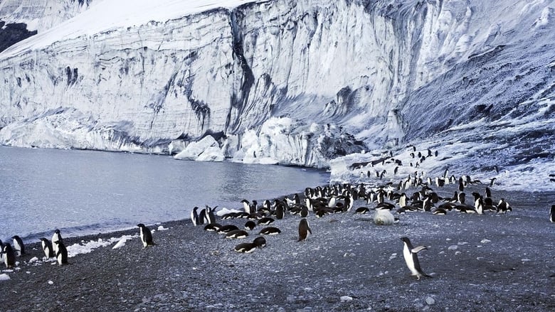кадр из фильма Antarktika - Die gefrorene Zeit